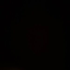 Meet your Posher,Destiny